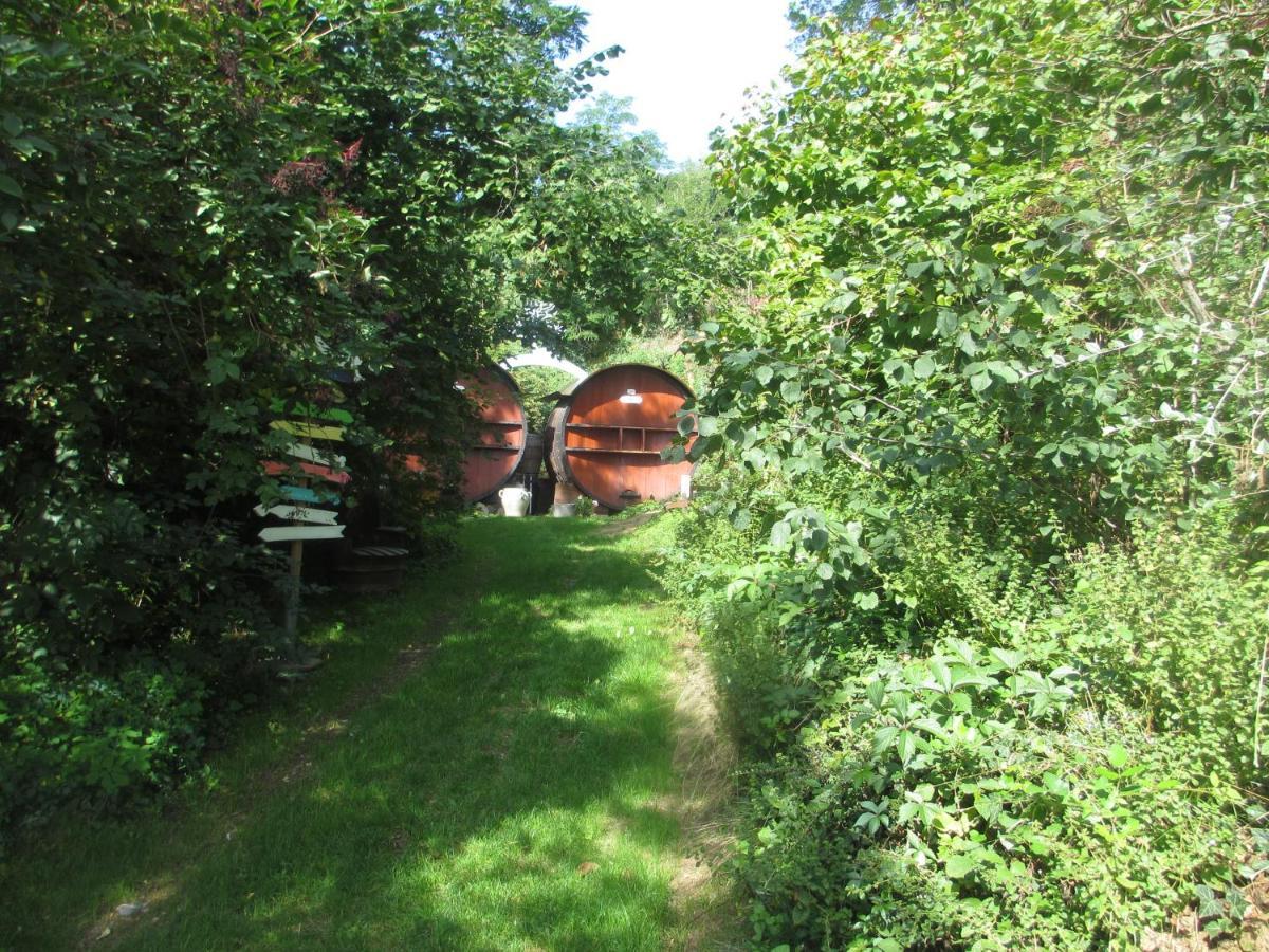 Foudres Du Chene Du Py Panzió Villié-Morgon Kültér fotó